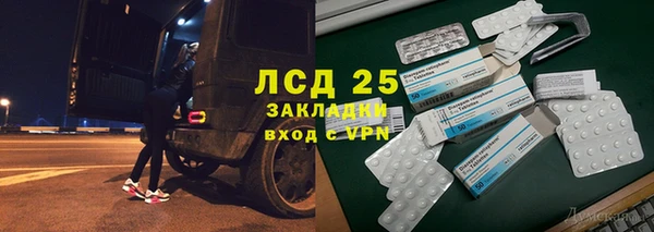 сатива Новодвинск