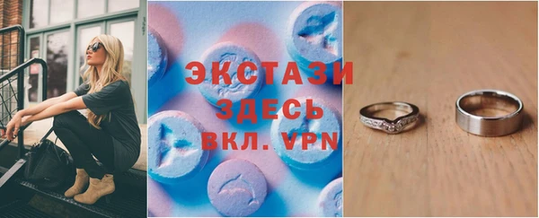 сатива Новодвинск
