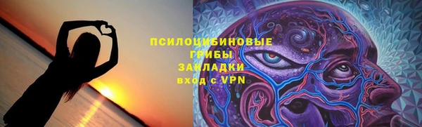 амф Новозыбков