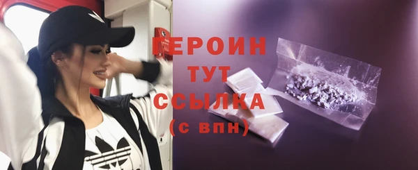 сатива Новодвинск