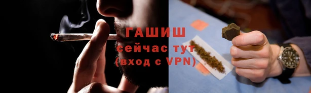 сатива Новодвинск