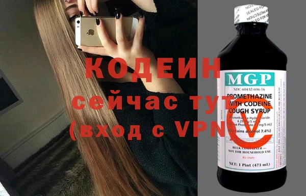 сатива Новодвинск