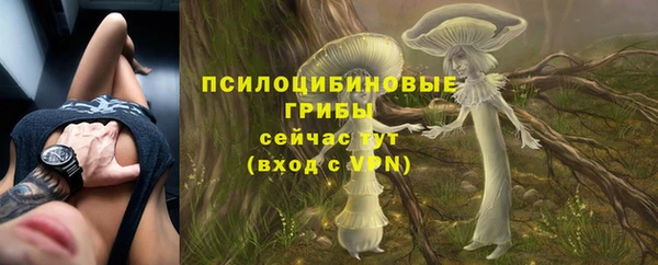 амф Новозыбков