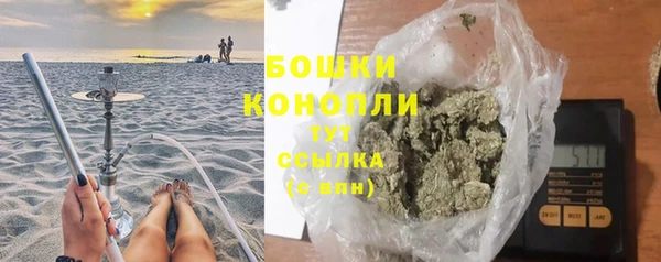 сатива Новодвинск