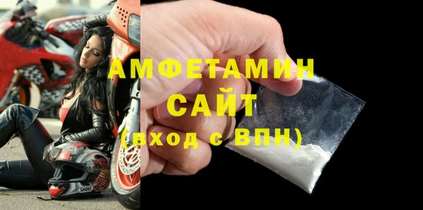 сатива Новодвинск